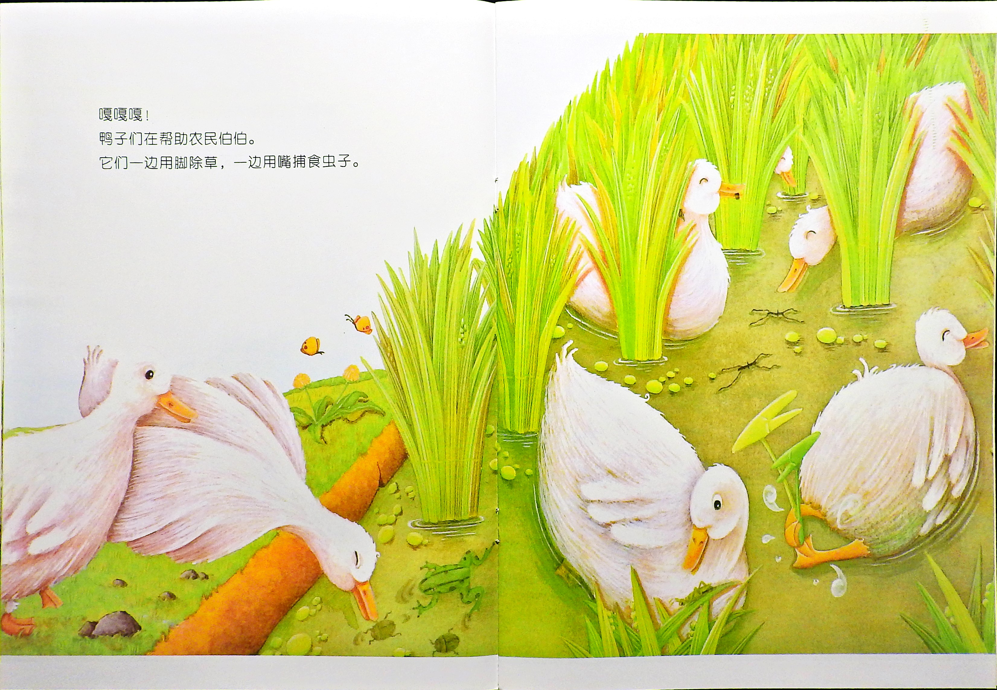 大米是怎么来的？ (06),绘本,绘本故事,绘本阅读,故事书,童书,图画书,课外阅读